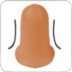 CONICCOPLUS200 DISTRIBUTOR BOX 200 PAIRS OF HIGH VISIBILITY EAR PLUGS WITH CORD - Image 2